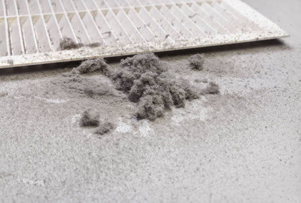 Best HVAC System Cleaning  in Creighton, NE