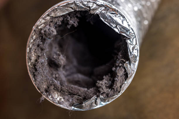 Air Duct Mold Removal in NE